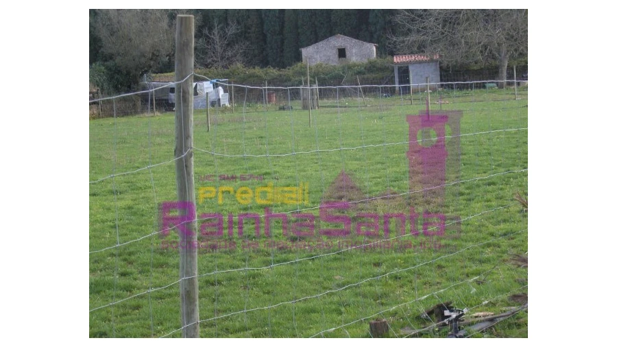 Quinta para Venda em Cernache Foto 6