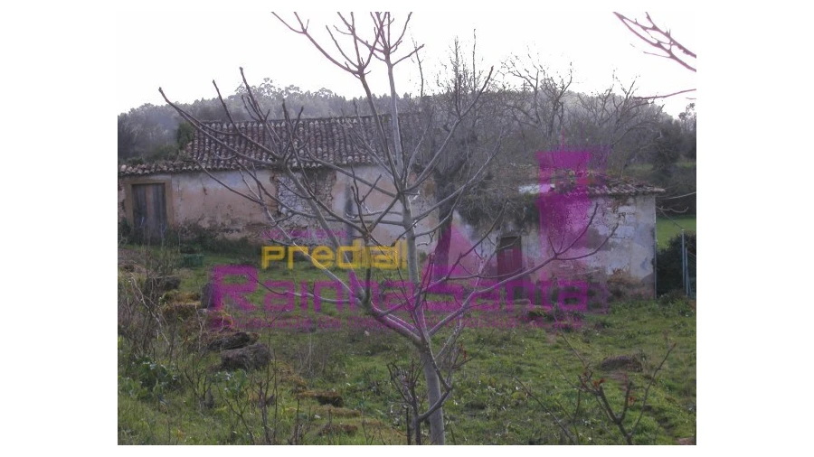 Quinta para Venda em Cernache Foto 7