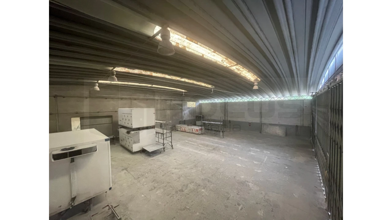 Armazém para Venda em Avelãs de Caminho Foto 22