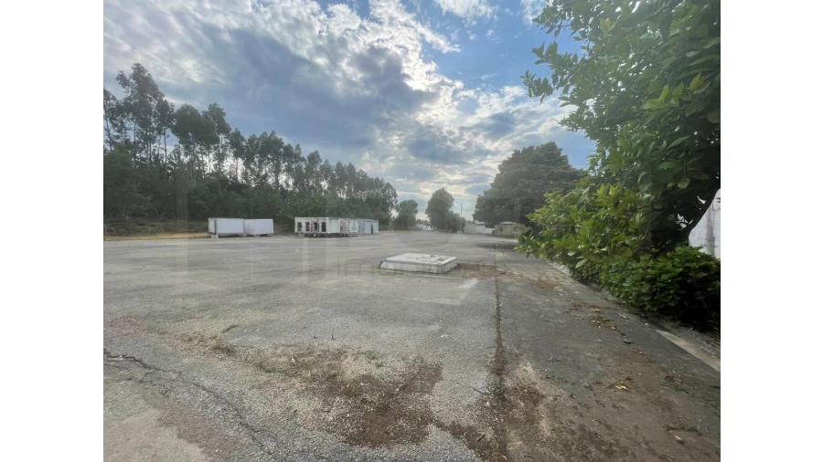 Armazém para Venda em Avelãs de Caminho Foto 25