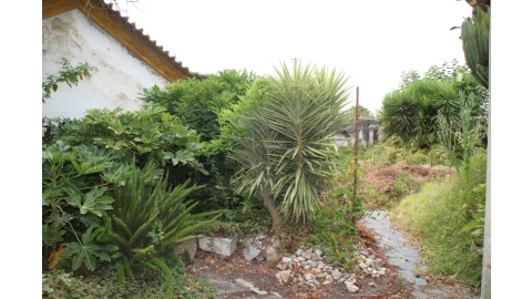 Moradia T11 para Venda em Cacia