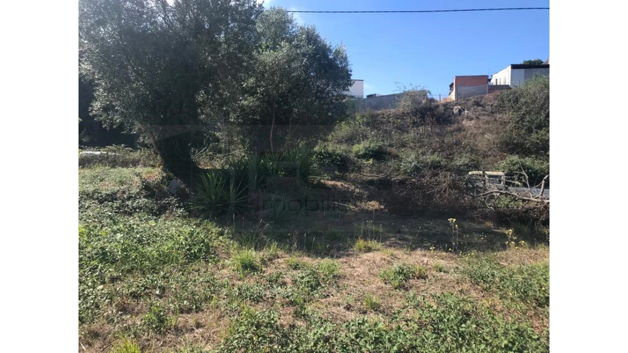 Terreno para Venda em Angeja Foto 1