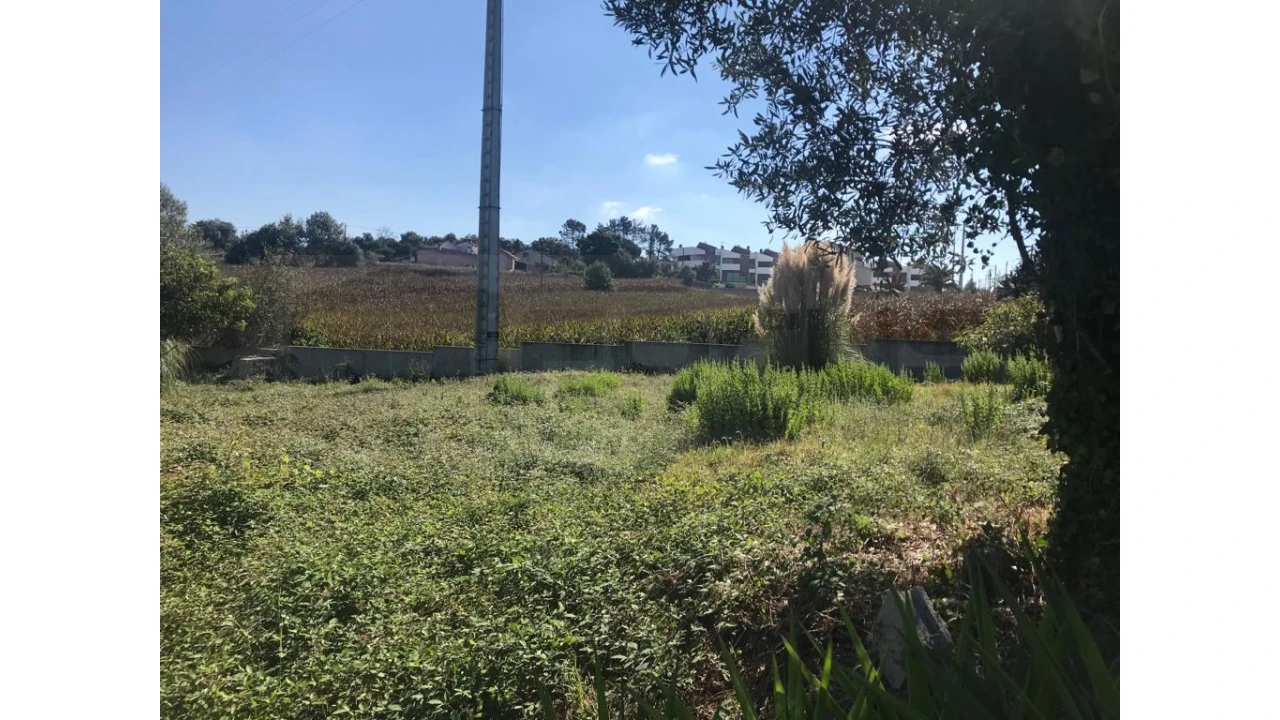 Terreno para Venda em Angeja Foto 3