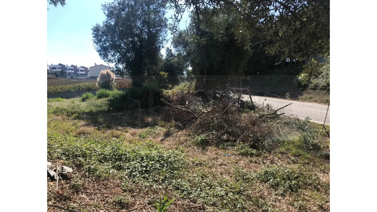 Terreno para Venda em Angeja Foto 7