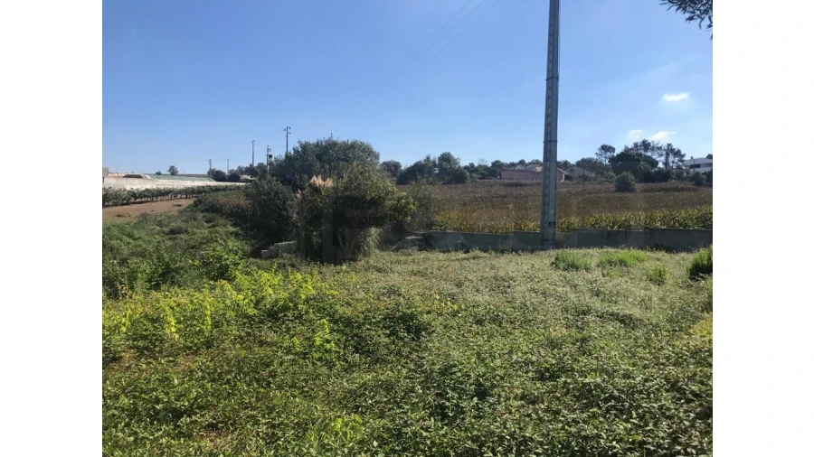 Terreno para Venda em Angeja Foto 2