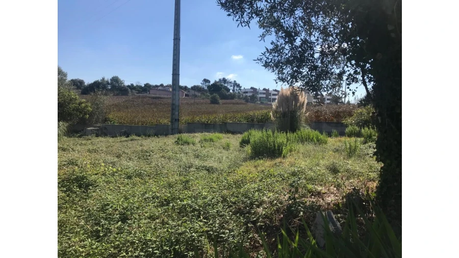 Terreno para Venda em Angeja Foto 3