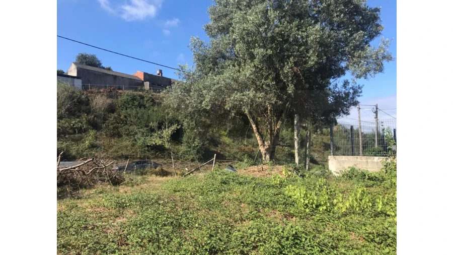 Terreno para Venda em Angeja Foto 4