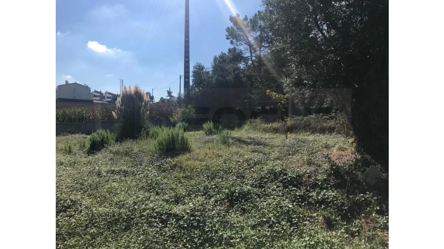 Terreno para Venda em Angeja Foto 5