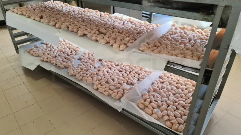 Negócio para Venda em Glória e Vera Cruz
