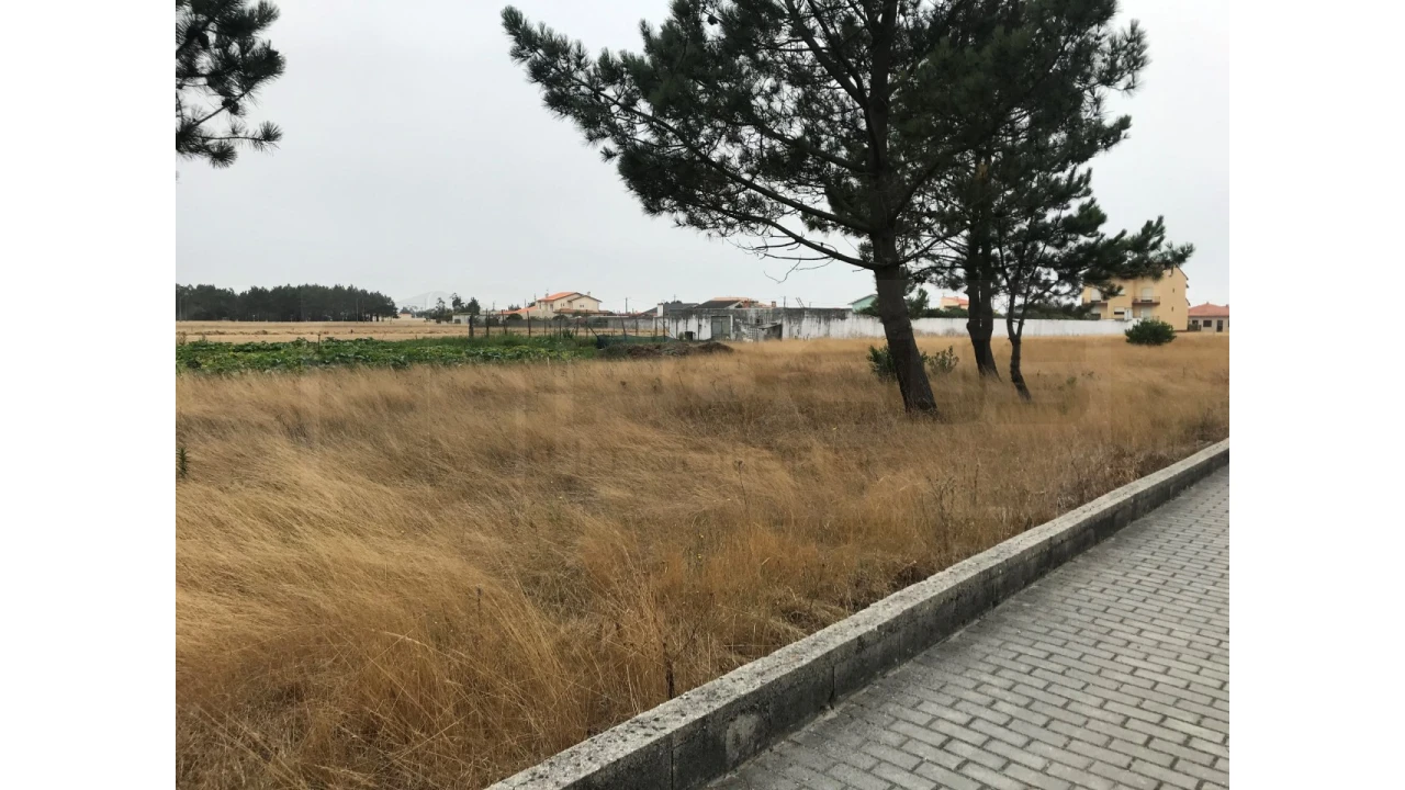Terreno para Venda em Gafanha do Carmo Foto 2