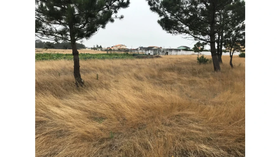 Terreno para Venda em Gafanha do Carmo Foto 4