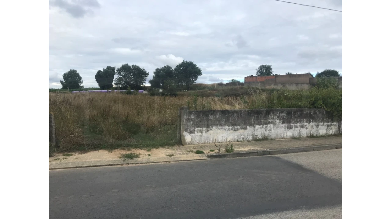 Terreno para Venda em Salreu Foto 2