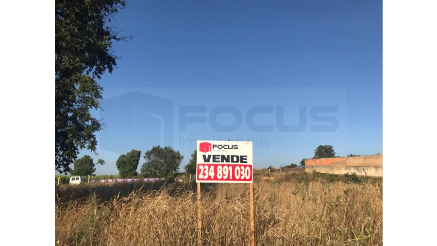 Terreno para Venda em Salreu Foto 6