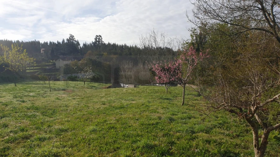 Terreno para Venda em Ribeira de Fraguas Foto 7