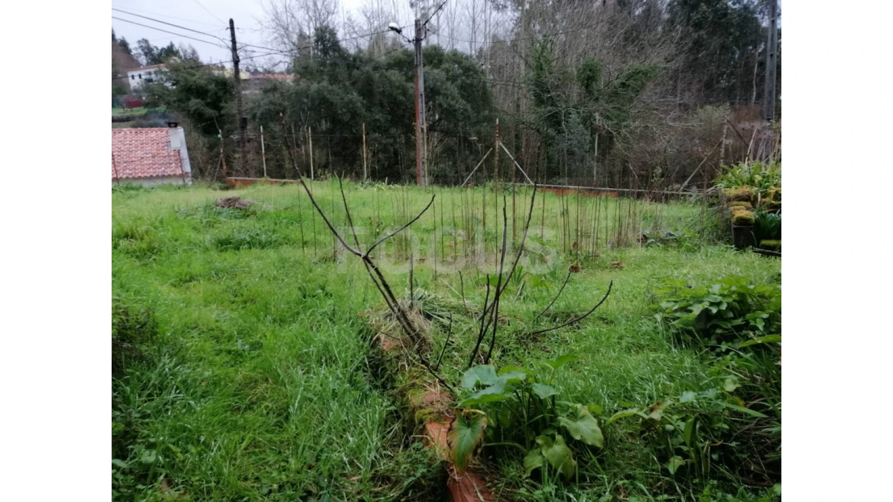 Terreno para Venda em Travassô e Óis da Ribeira Foto 1