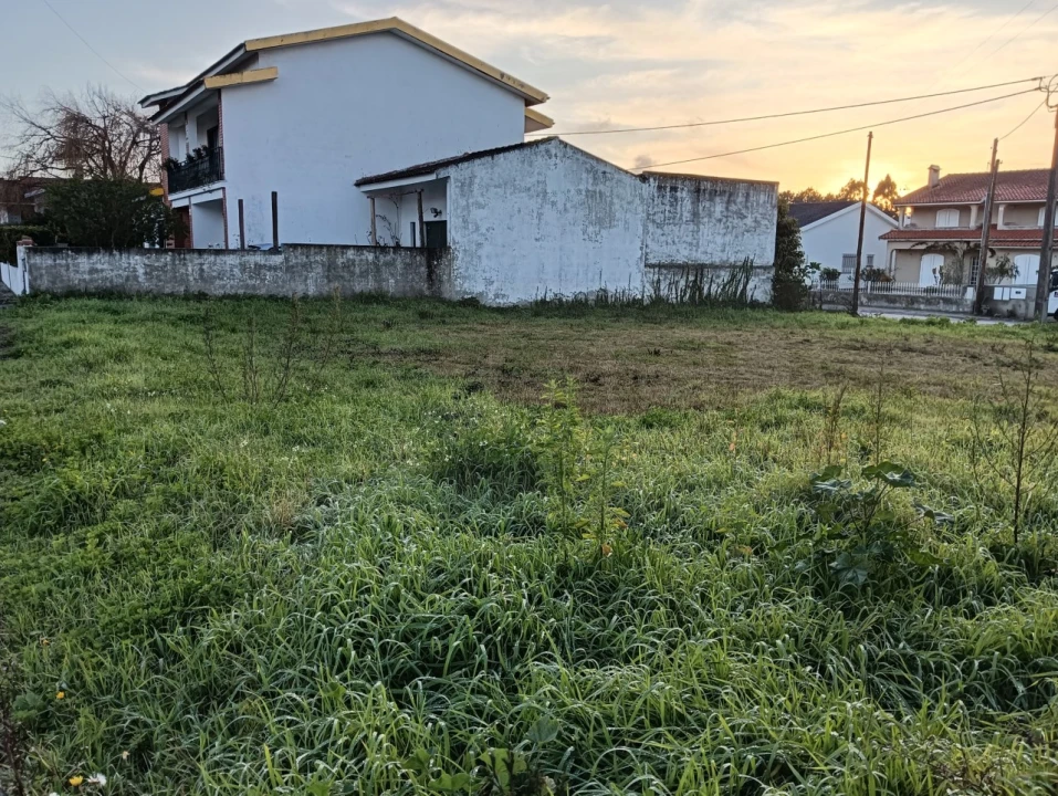 Terreno para Venda em Soza Foto 4