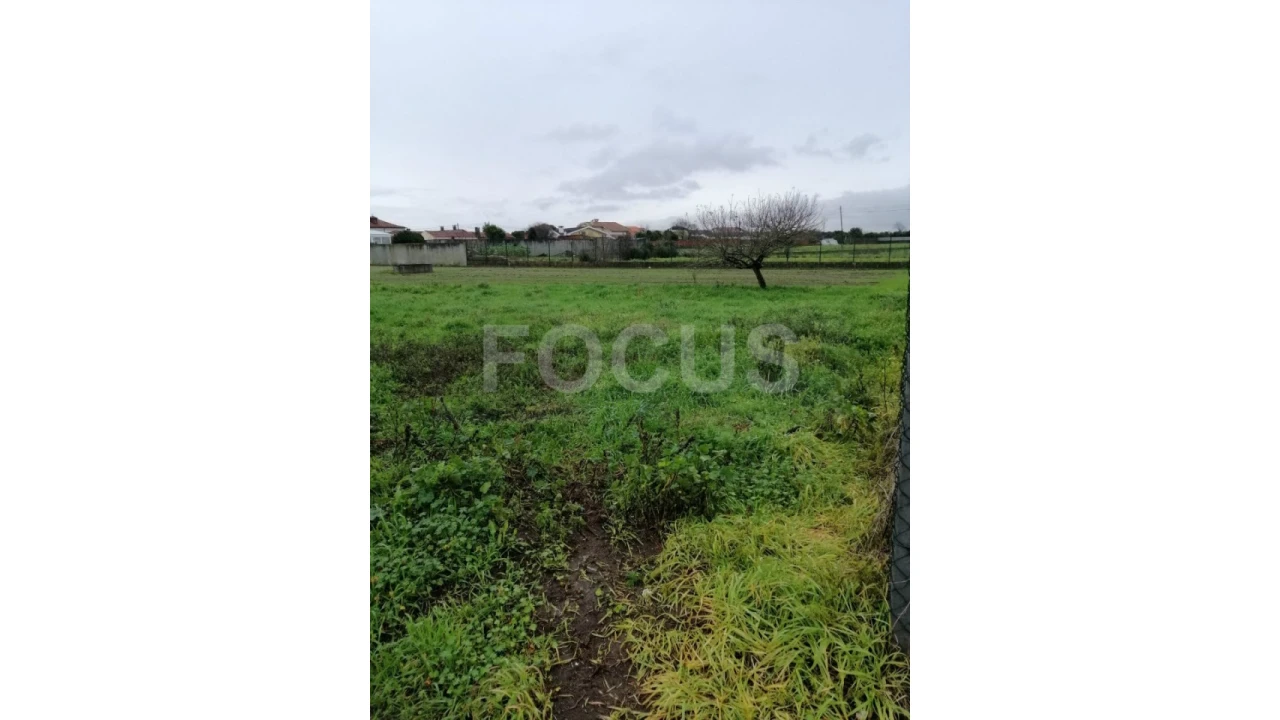 Terreno para Arrendamento em Oliveirinha Foto 2