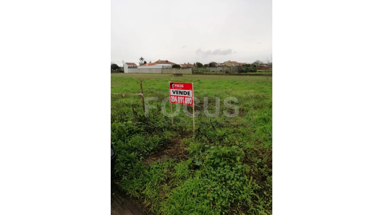 Terreno para Arrendamento em Oliveirinha Foto 3