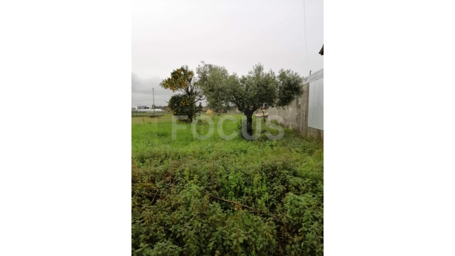 Terreno para Arrendamento em Oliveirinha