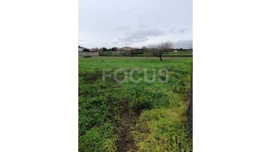 Terreno para Arrendamento em Oliveirinha Foto 2