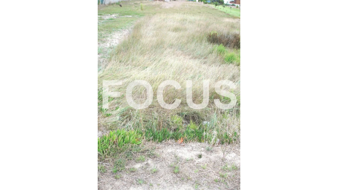 Terreno Agricola ou Rústico para Venda em Gafanha da Encarnação Foto 2