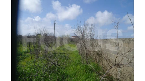 Terreno para Venda em Aradas