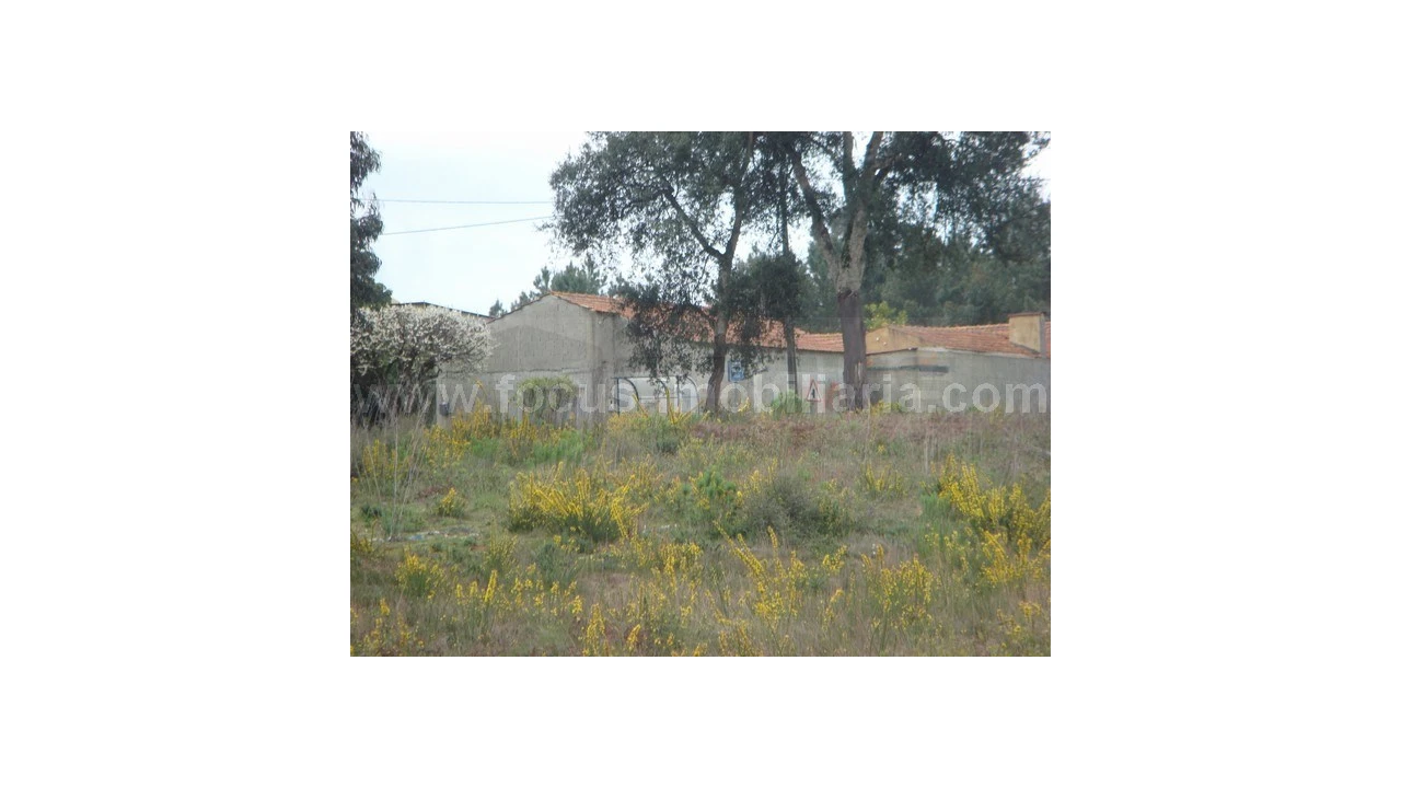 Terreno para Venda em Amoreira da Gândara, Paredes do Bairro e Ancas Foto 2
