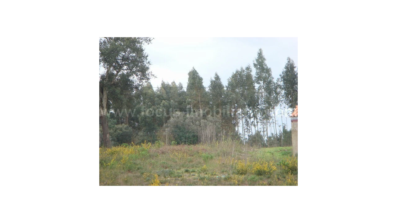 Terreno para Venda em Amoreira da Gândara, Paredes do Bairro e Ancas Foto 3