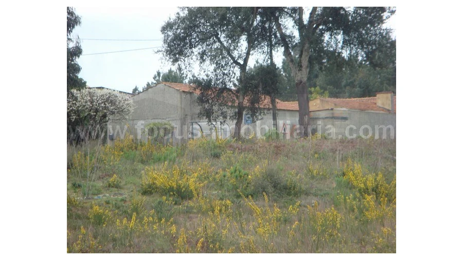 Terreno para Venda em Amoreira da Gândara, Paredes do Bairro e Ancas Foto 2