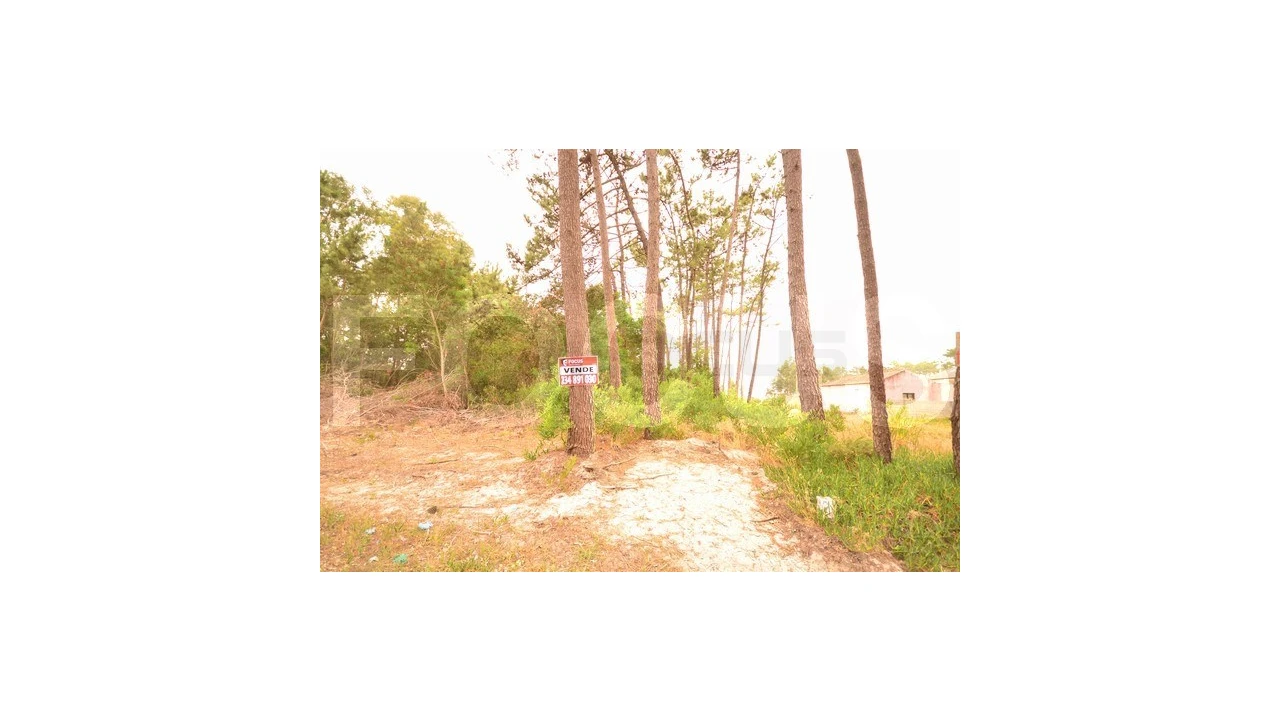 Terreno para Venda em Gafanha da Boa Hora Foto 1