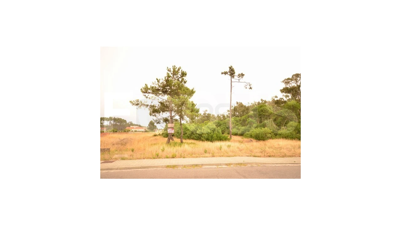 Terreno para Venda em Gafanha da Boa Hora Foto 4