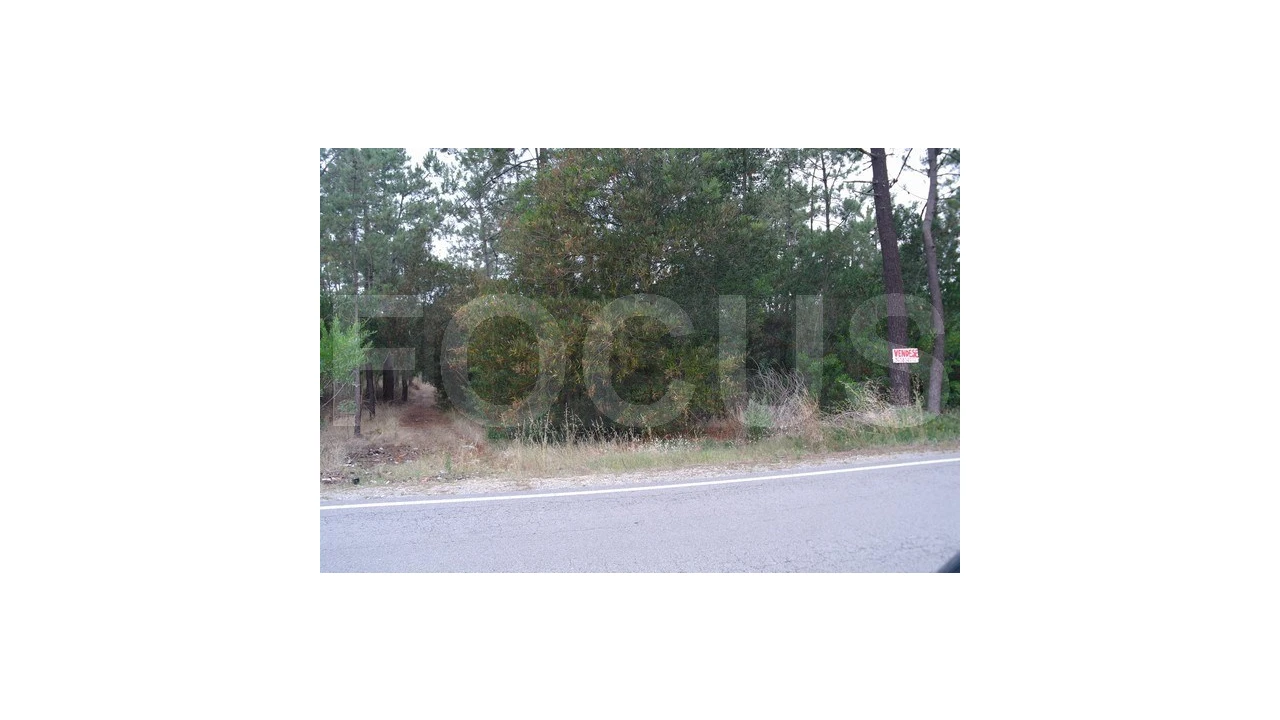 Terreno para Venda em Gafanha da Boa Hora Foto 5