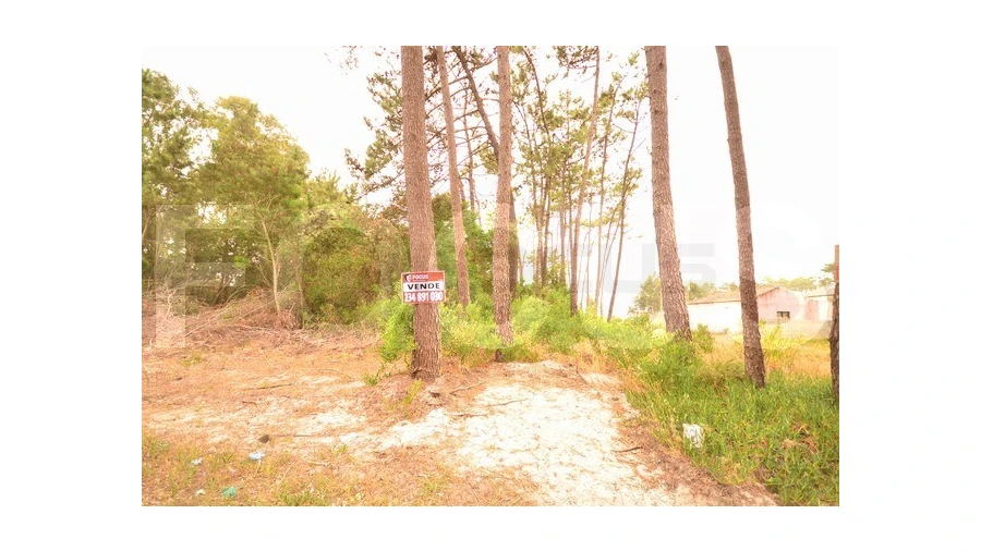 Terreno para Venda em Gafanha da Boa Hora