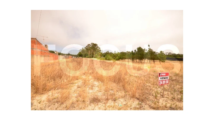 Terreno para Venda em Gafanha da Boa Hora Foto 2