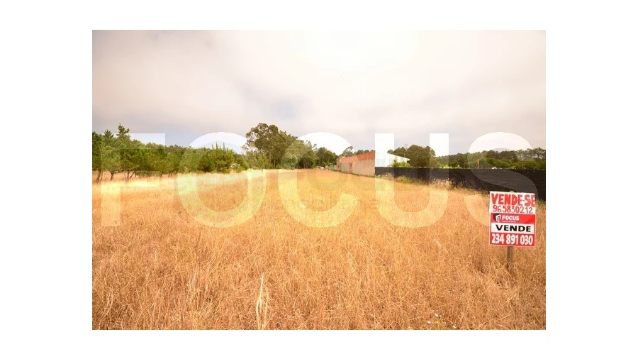 Terreno para Venda em Gafanha da Boa Hora Foto 3