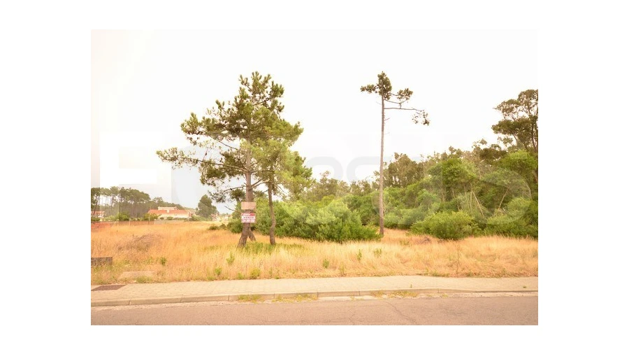 Terreno para Venda em Gafanha da Boa Hora Foto 4