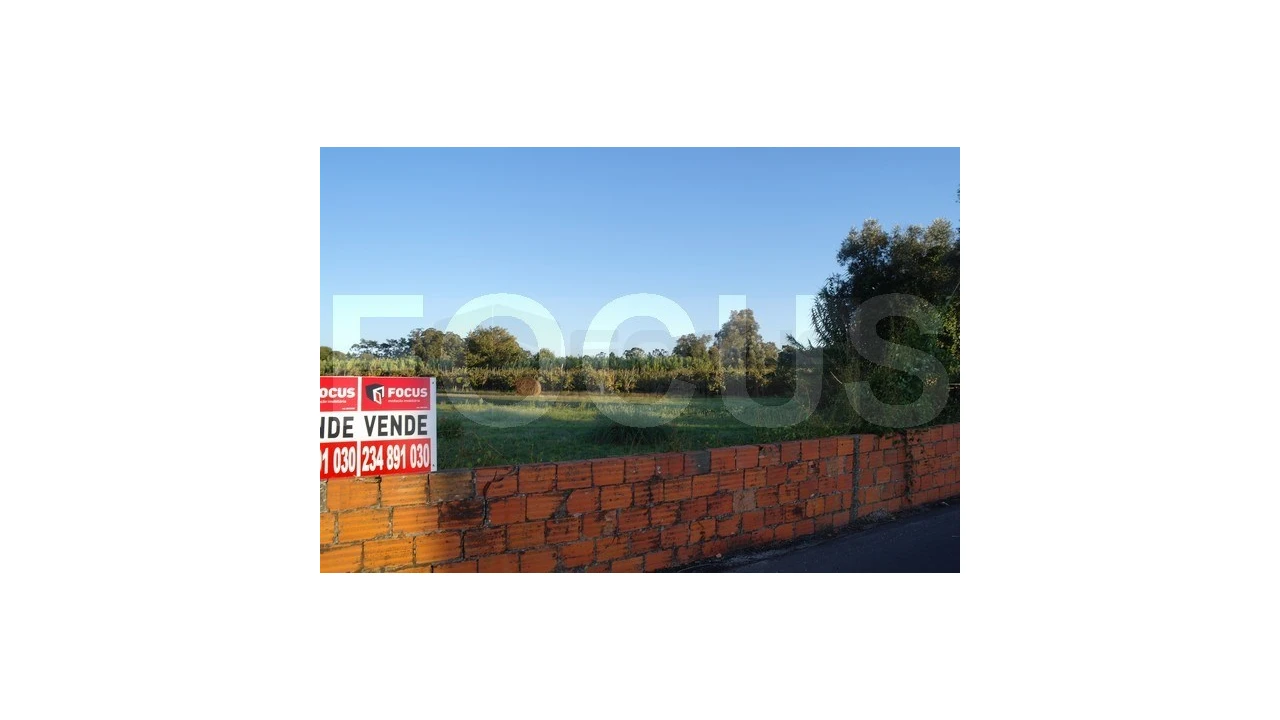 Terreno para Venda em Palhaça Foto 1