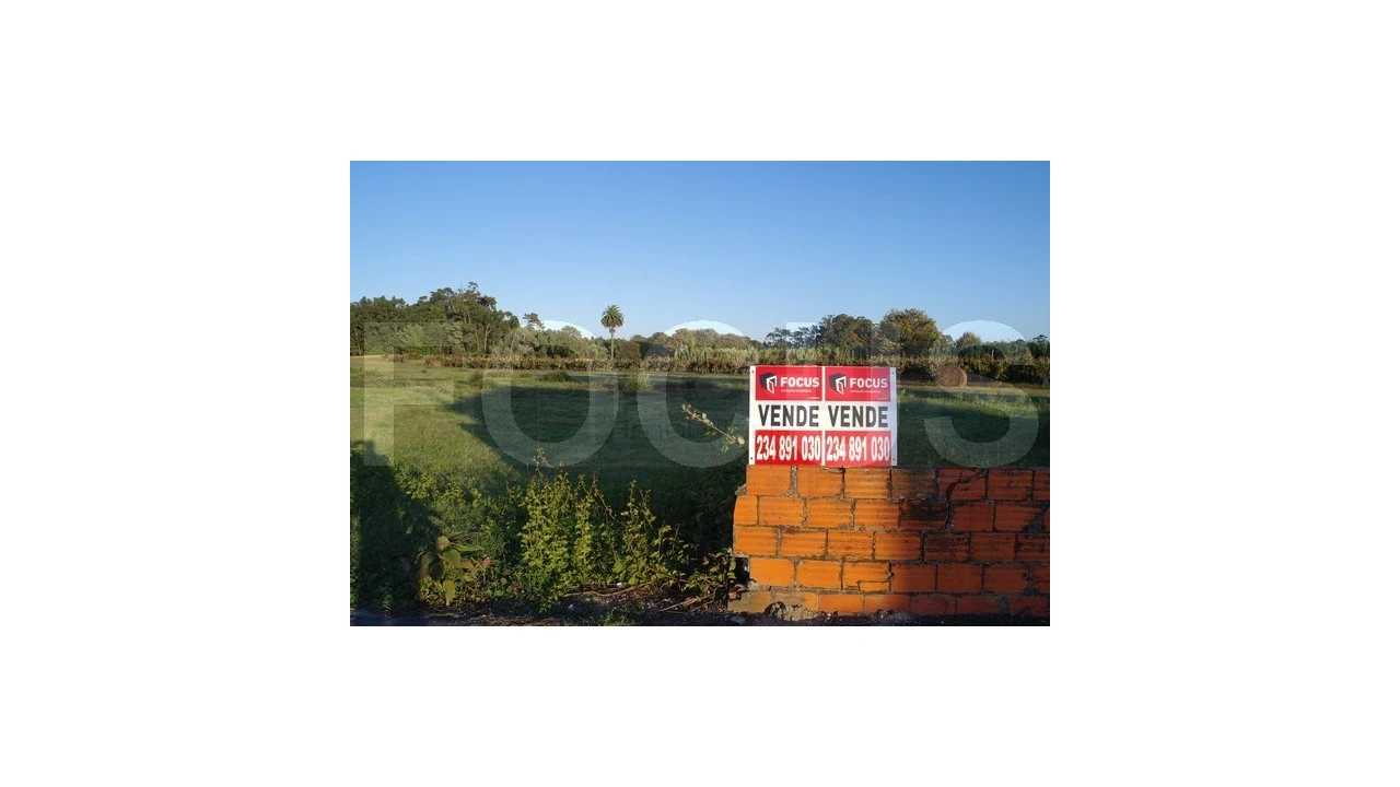 Terreno para Venda em Palhaça Foto 2