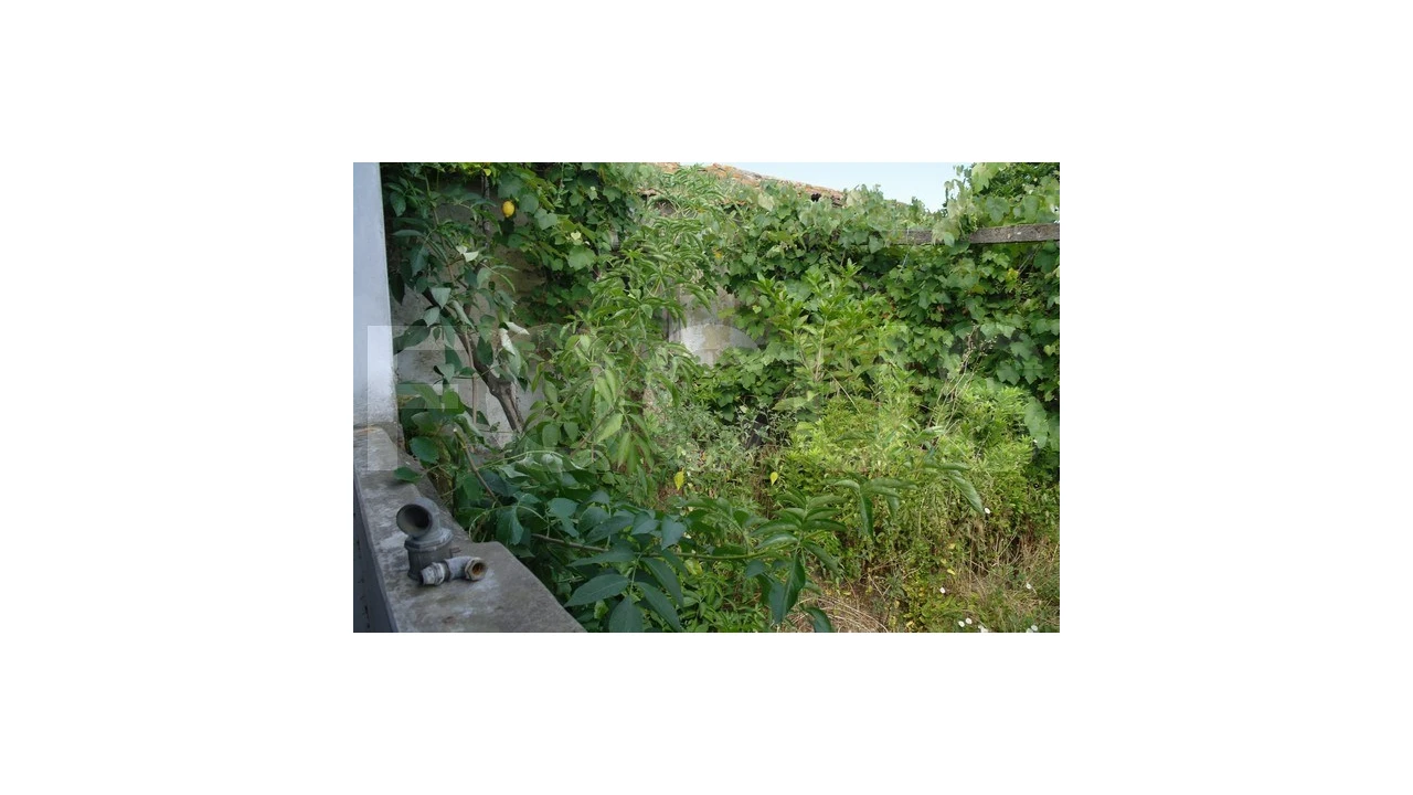 Moradia T1 para Venda em Vagos e Santo António Foto 7