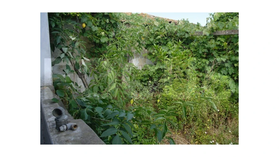 Moradia T1 para Venda em Vagos e Santo António Foto 7