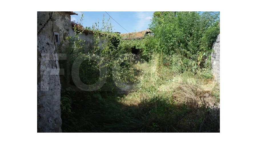 Moradia T1 para Venda em Vagos e Santo António Foto 1