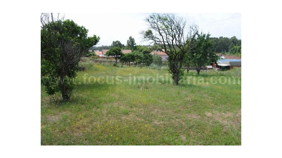 Quinta T3 para Venda em Eixo e Eirol