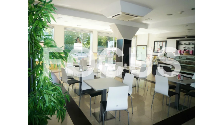 Negócio para Venda em Santo Andre de Vagos