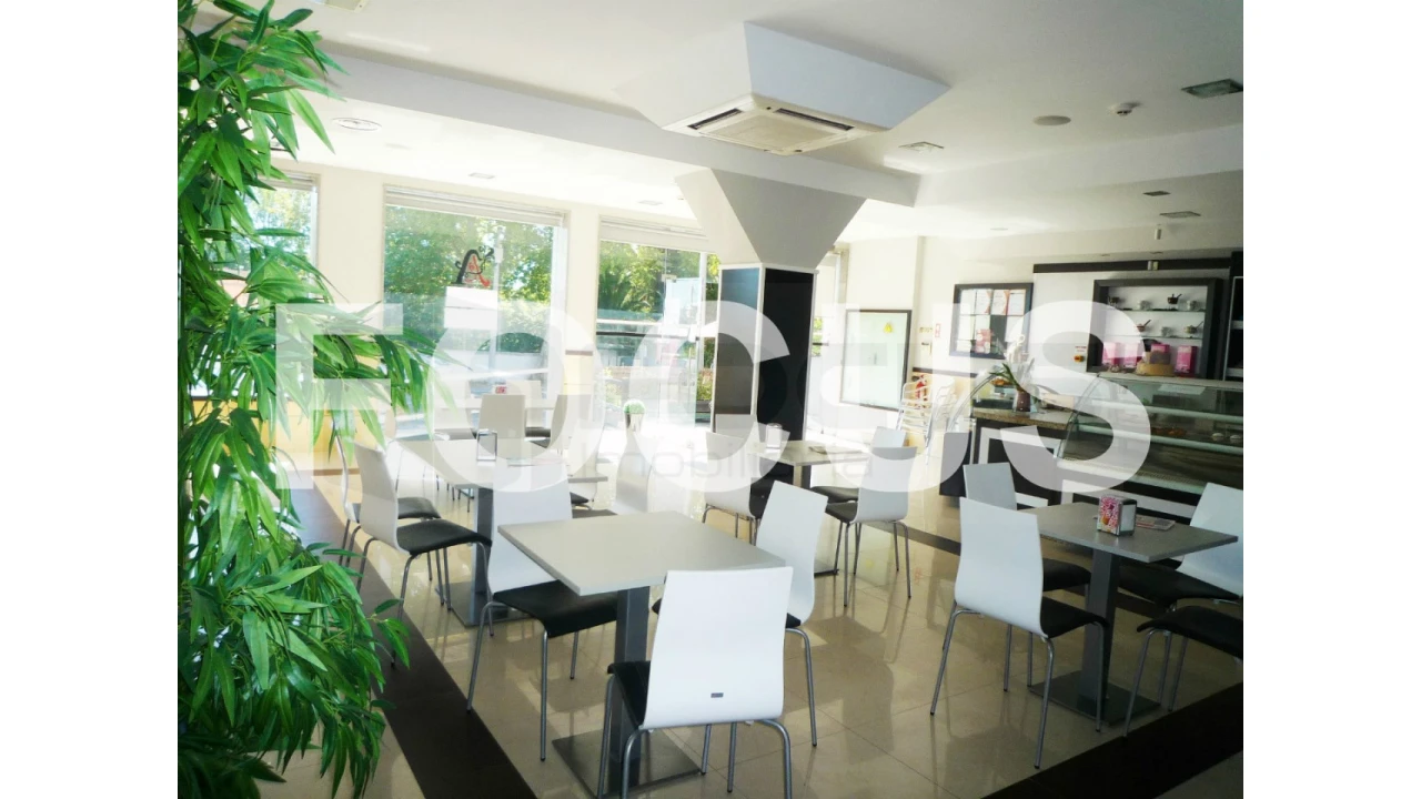 Negócio para Cedência de Quotas em Santo Andre de Vagos Foto 2