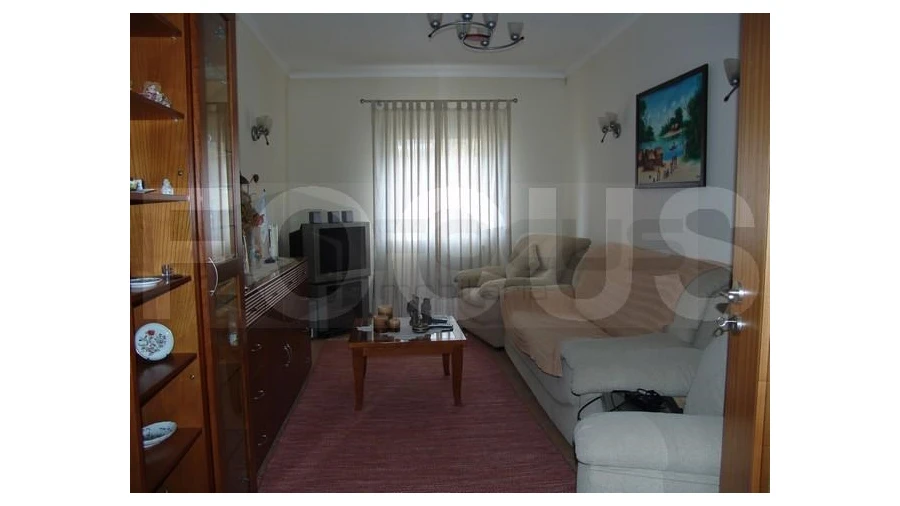 Quinta T5 para Venda em Sever do Vouga Foto 21