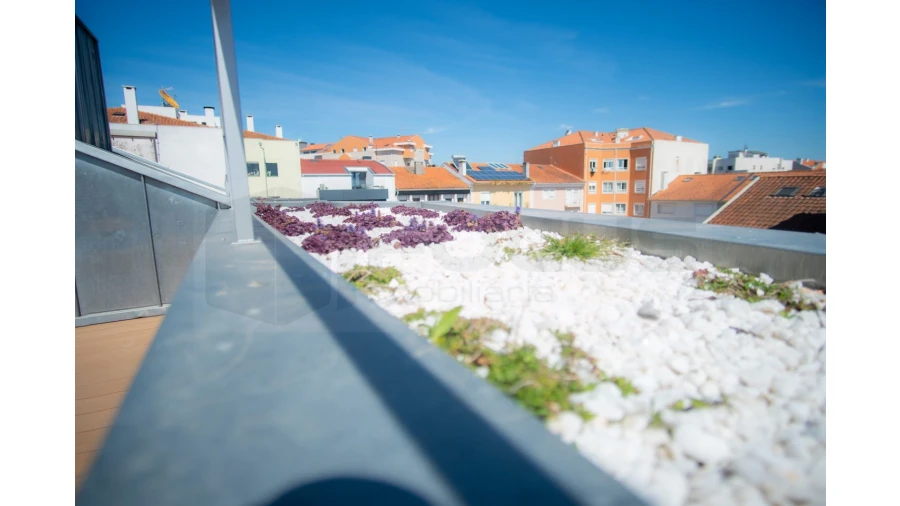 Moradia T4 para Venda em Glória e Vera Cruz Foto 14