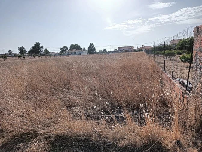 Terreno para Venda em Gafanha da Encarnação Foto 8