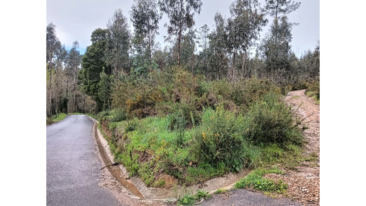 Terreno para Venda em Angeja Foto 1