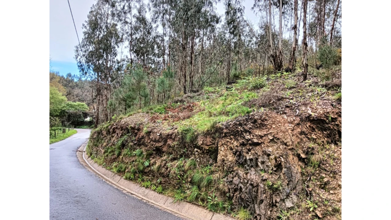 Terreno para Venda em Angeja Foto 10