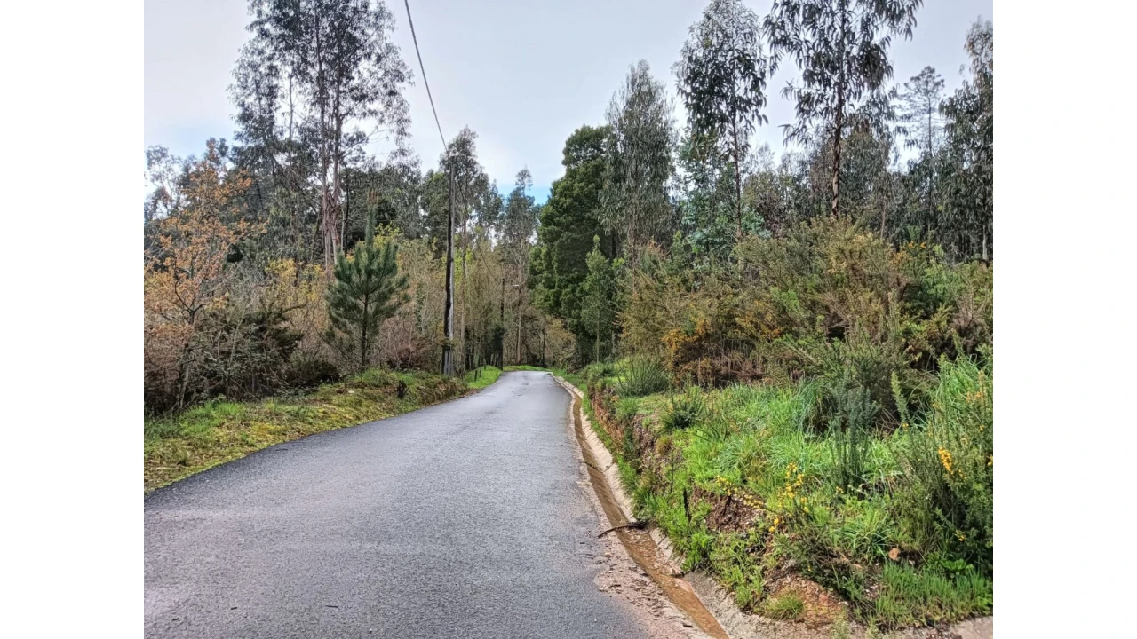 Terreno para Venda em Angeja Foto 13
